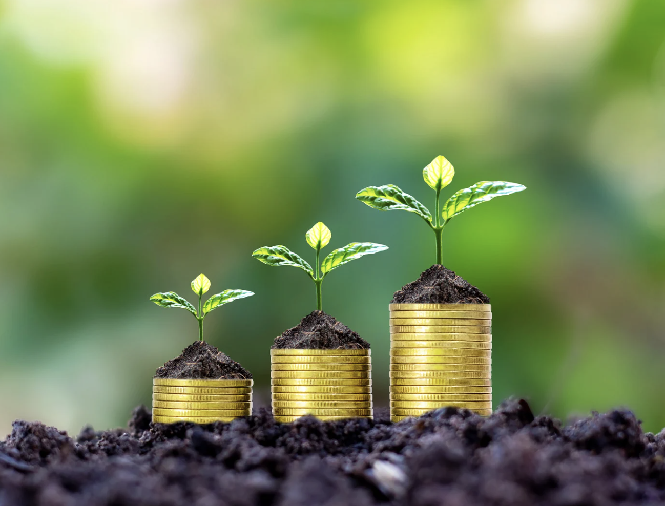 Screenshot 2025-08-04 alle 13.59.40